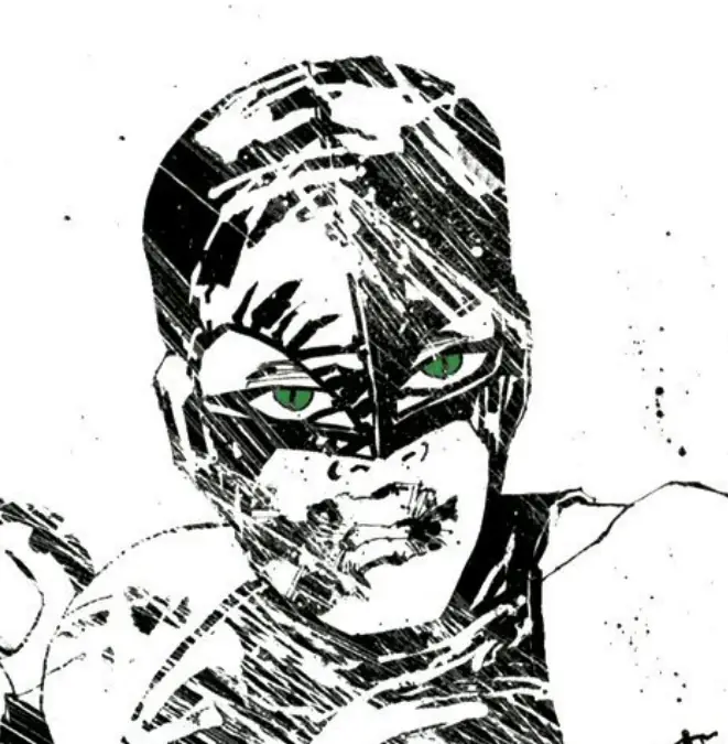 The Cat Burglar, similarity to Catwoman