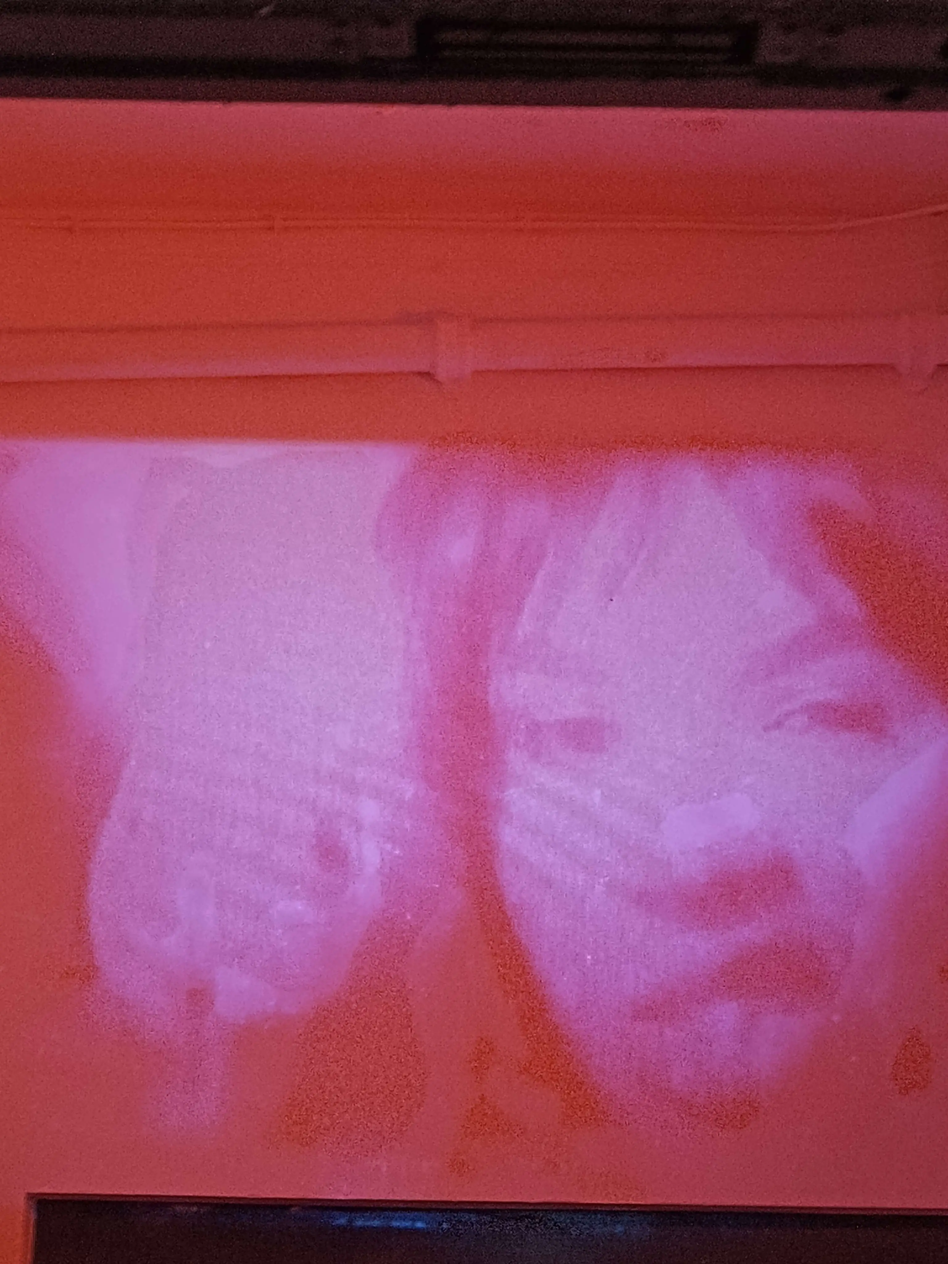 checking out White Claws