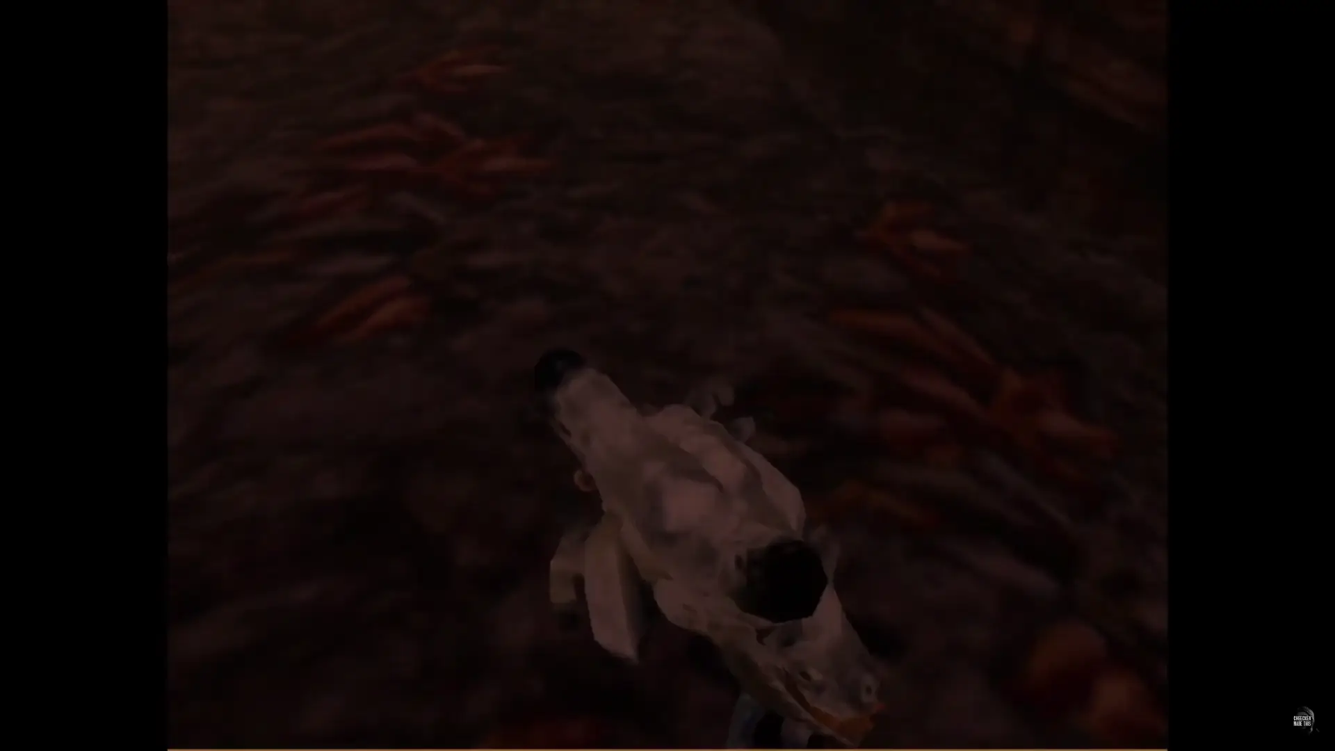 listing off some differences