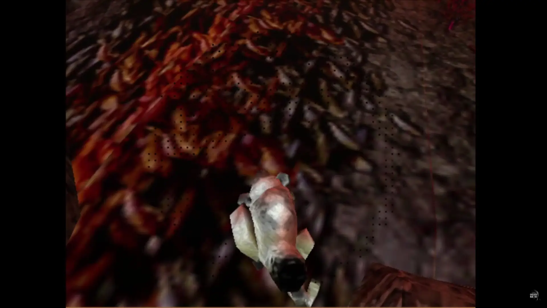 a chomp, distracted in the wild